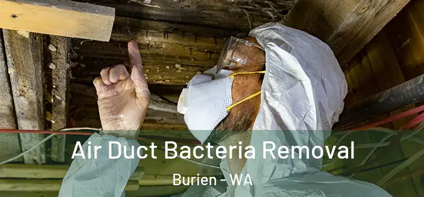 Air Duct Bacteria Removal Burien - WA
