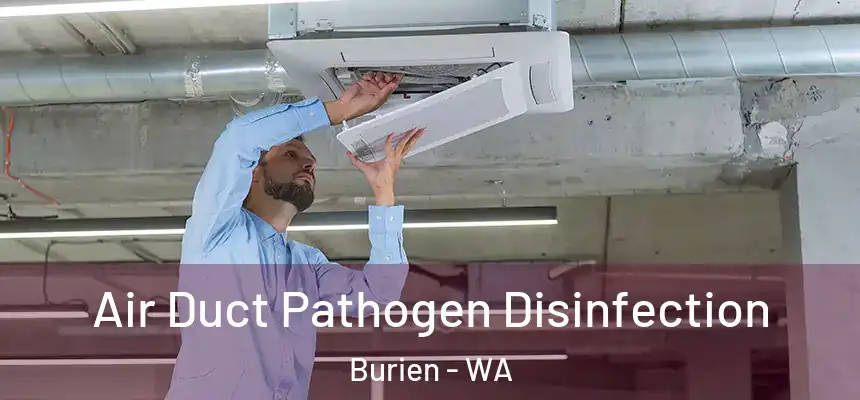 Air Duct Pathogen Disinfection Burien - WA