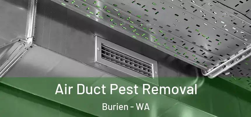Air Duct Pest Removal Burien - WA
