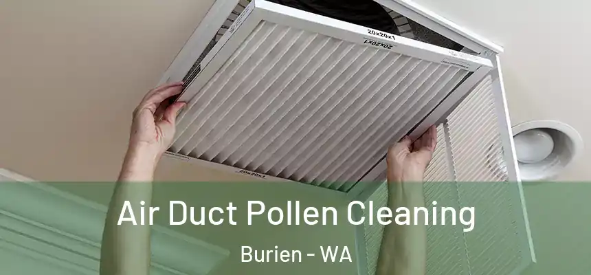 Air Duct Pollen Cleaning Burien - WA