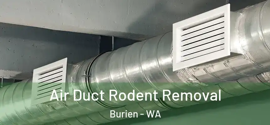 Air Duct Rodent Removal Burien - WA