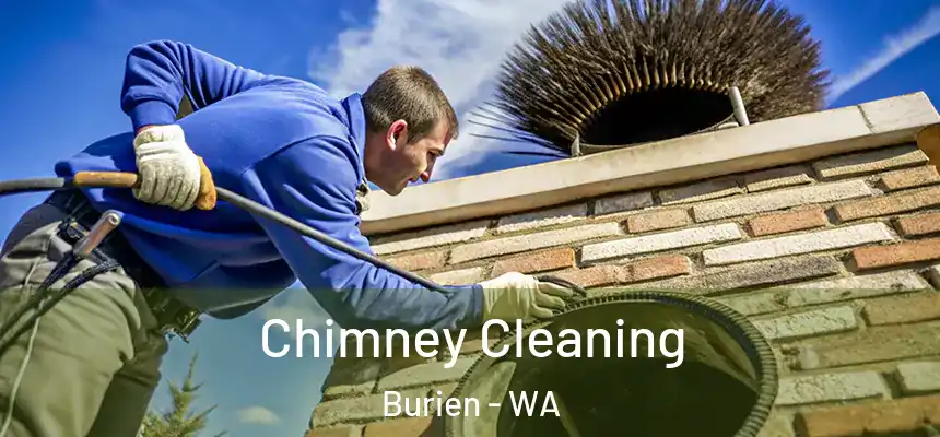Chimney Cleaning Burien - WA
