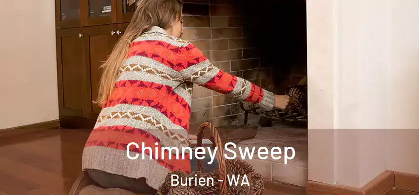 Chimney Sweep Burien - WA