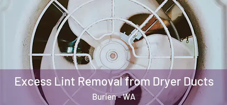 Excess Lint Removal from Dryer Ducts Burien - WA