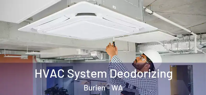 HVAC System Deodorizing Burien - WA