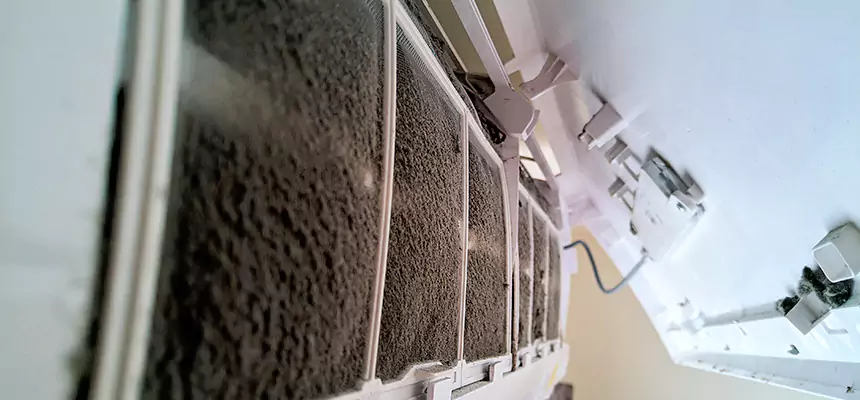 Preventive Air Duct Bacteria Removal in Burien