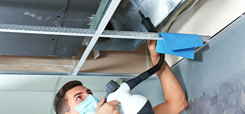Our Air Duct Rodent Removal Services in Burien, WA