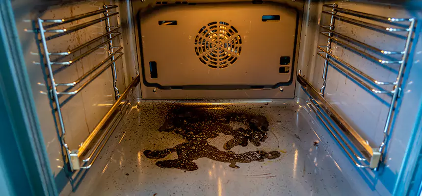 Our Dryer Vent Mold Cleaning Services in Burien, WA