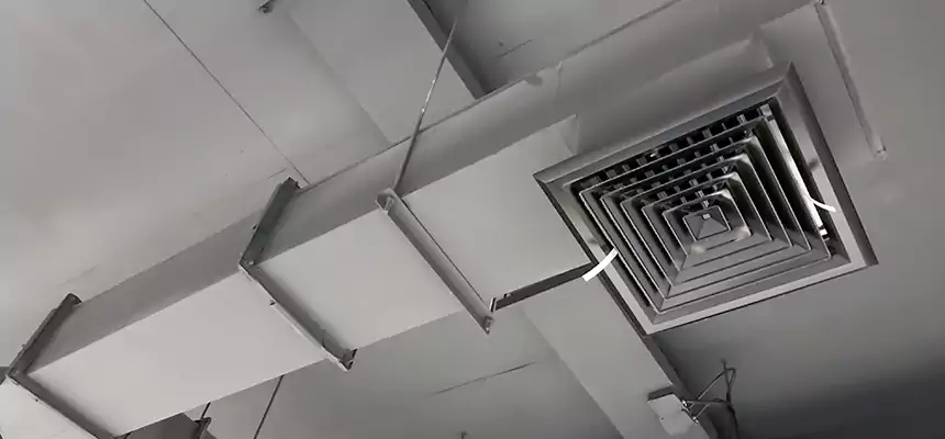 Our Rodent Droppings In Vents Services in Burien, WA