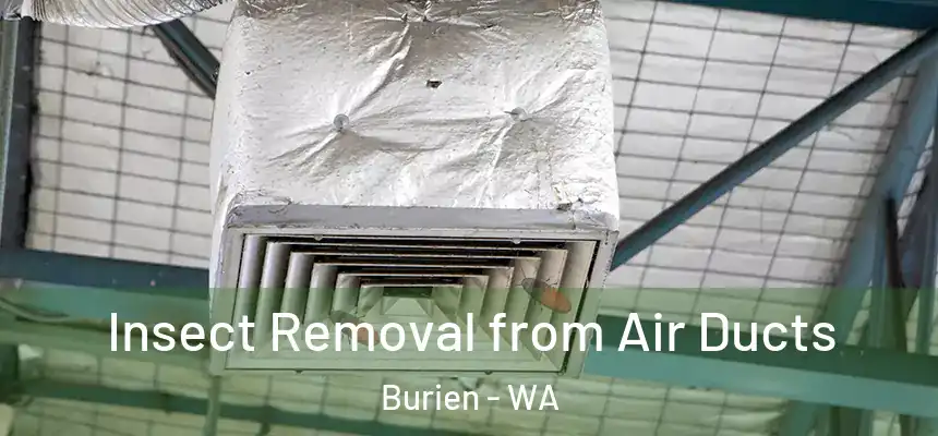 Insect Removal from Air Ducts Burien - WA