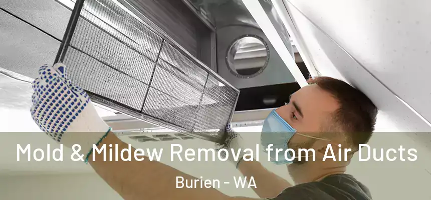 Mold & Mildew Removal from Air Ducts Burien - WA