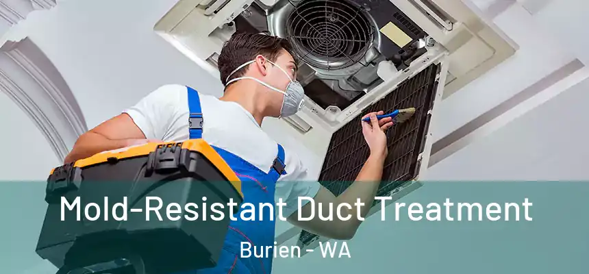 Mold-Resistant Duct Treatment Burien - WA