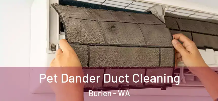  Pet Dander Duct Cleaning Burien - WA
