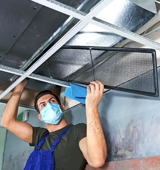 About Air Duct Bacteria Removal in Burien