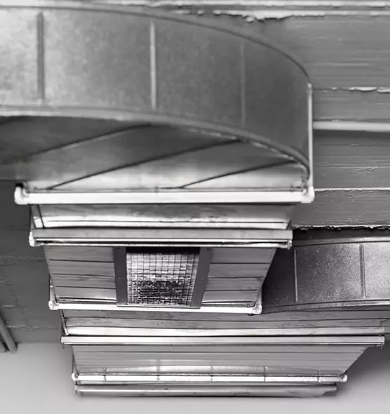 Professional Air Duct Pest Removal in Burien, WA