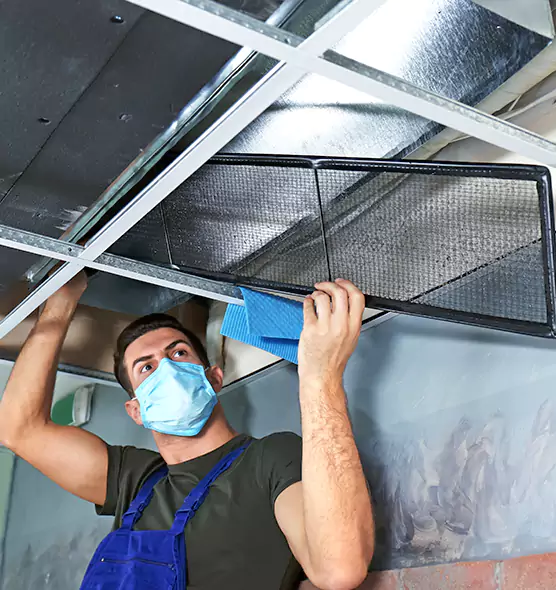 Professional Air Duct Pollen Cleaning in Burien, WA