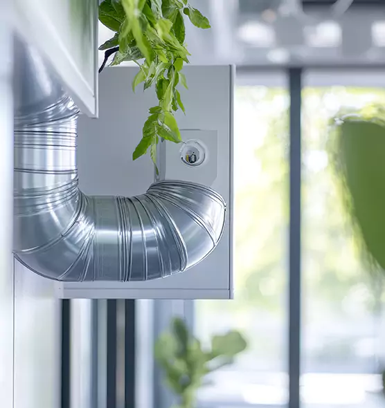 Professional Eco-Safe Dryer Vent Cleaning in Burien, WA