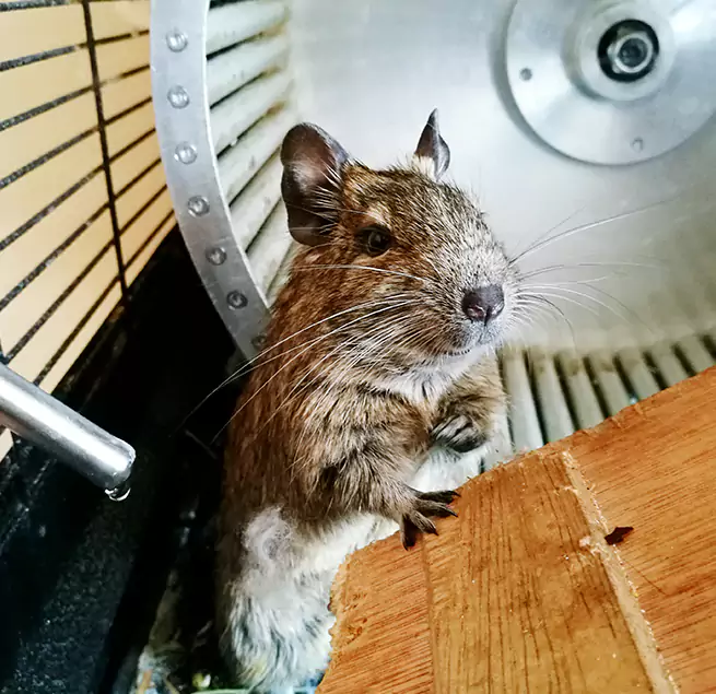 Why Homeowners & Businesses Trust Us Burien, WA?