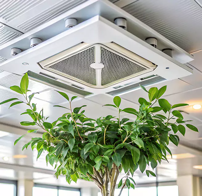 Why Homeowners & Businesses Trust Us in Burien, WA?