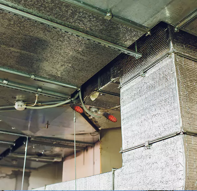 Why Homeowners & Businesses Trust Us Burien, WA?