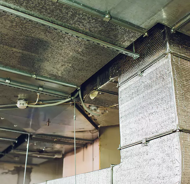 Why Homeowners & Businesses Trust Us in Burien, WA?